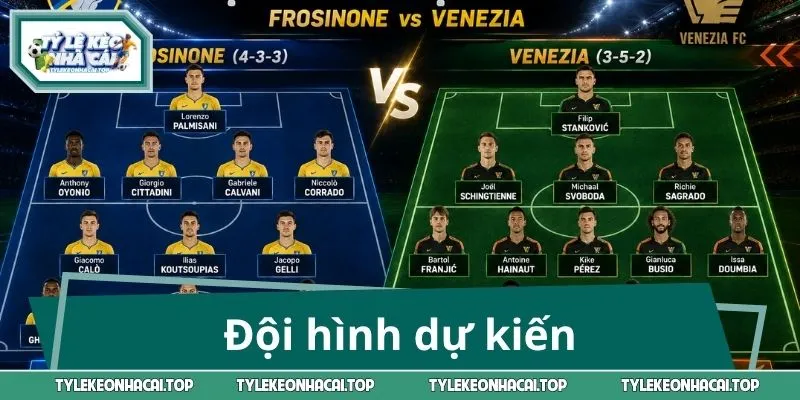 Đội hình dự kiến của tuyển Frosinone và Venezia